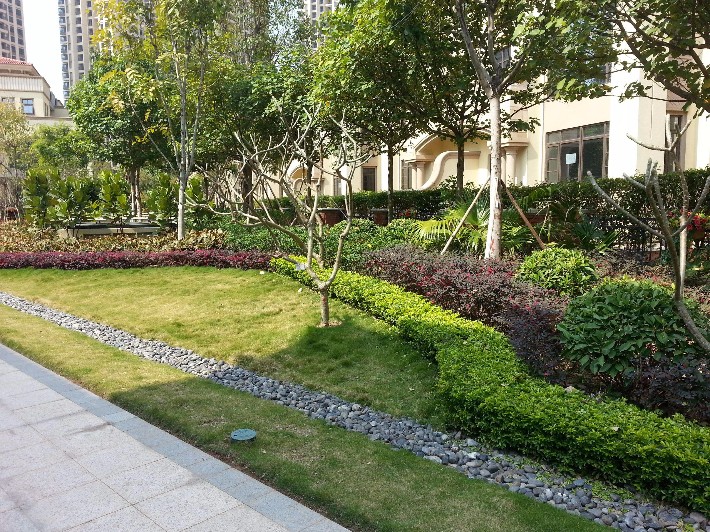 小區綠化養護 小區綠化養護
