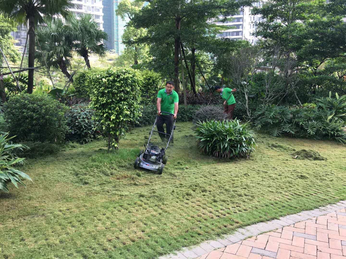 綠化養(yǎng)護(hù)草坪修剪