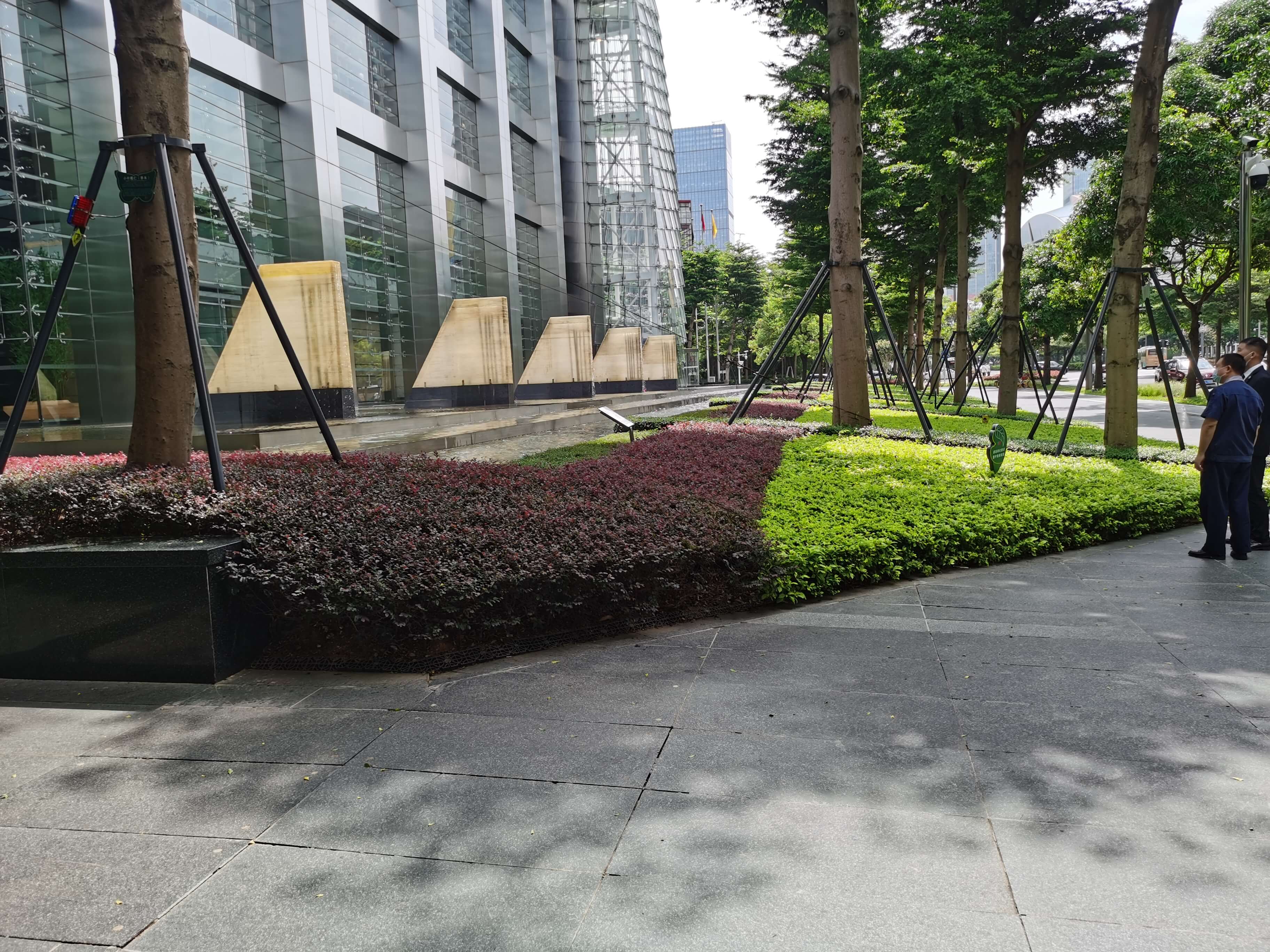 綠化維護(hù) 綠化維護(hù)