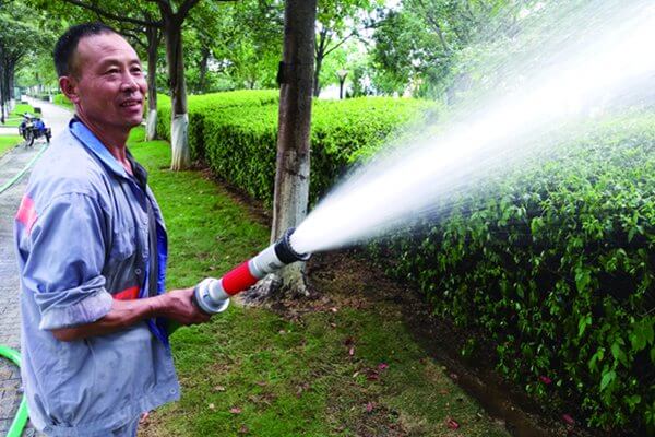 綠化維護