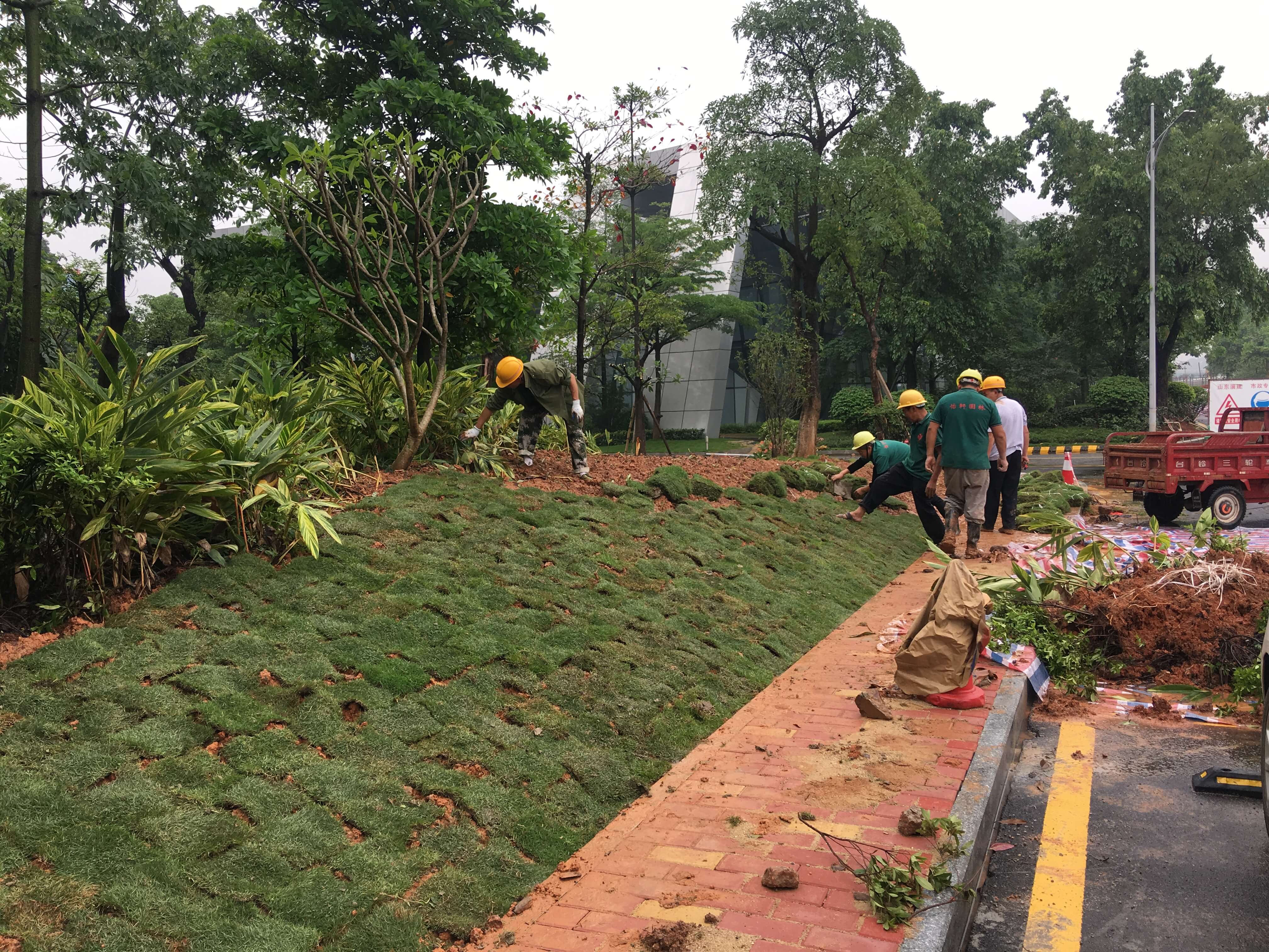 綠化養(yǎng)護(hù)