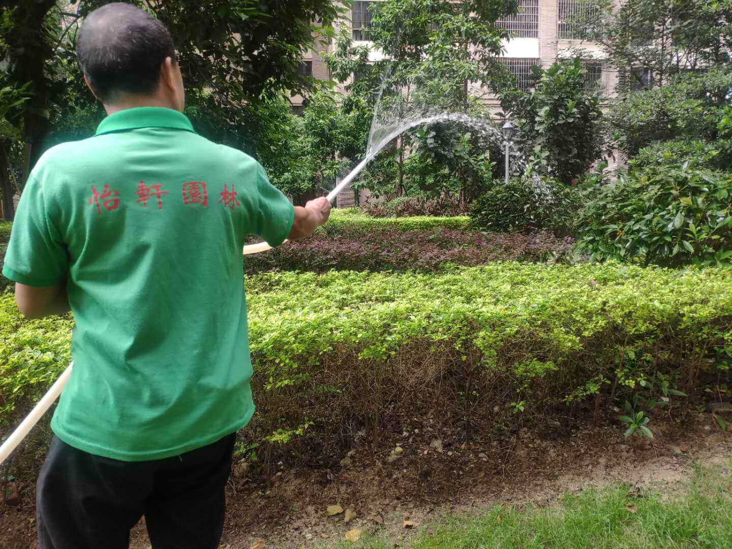 園林綠化養(yǎng)護(hù)