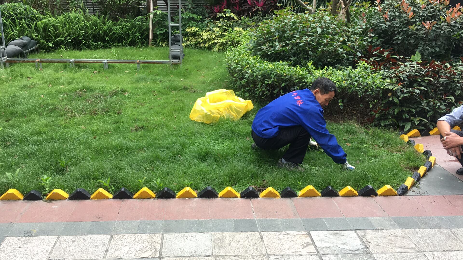小區(qū)綠化養(yǎng)護(hù)