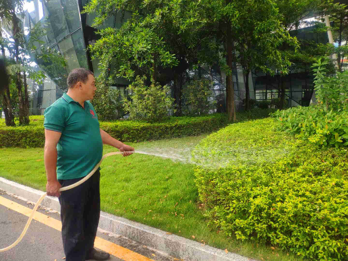 小區(qū)綠化養(yǎng)護(hù)澆水