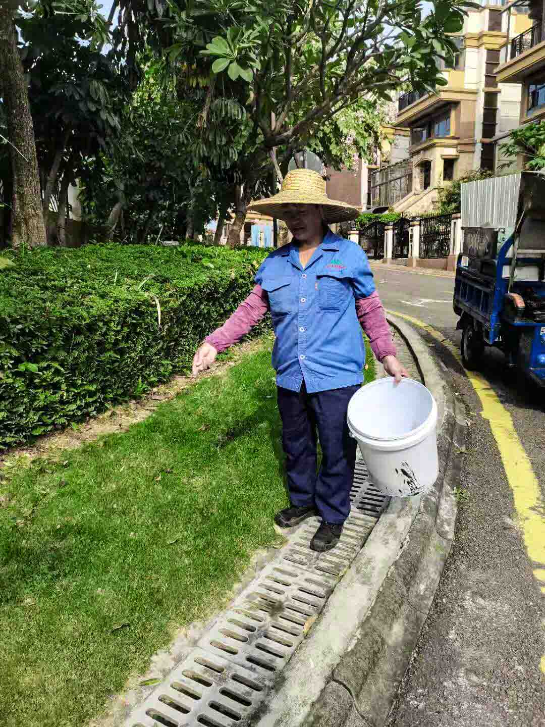 小區(qū)綠化養(yǎng)護(hù) 小區(qū)綠化養(yǎng)護(hù)