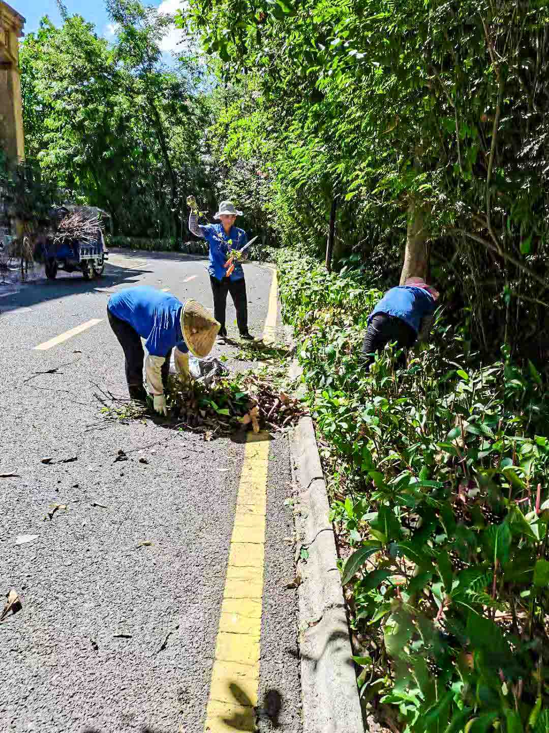 小區(qū)綠化養(yǎng)護(hù) 小區(qū)綠化養(yǎng)護(hù)