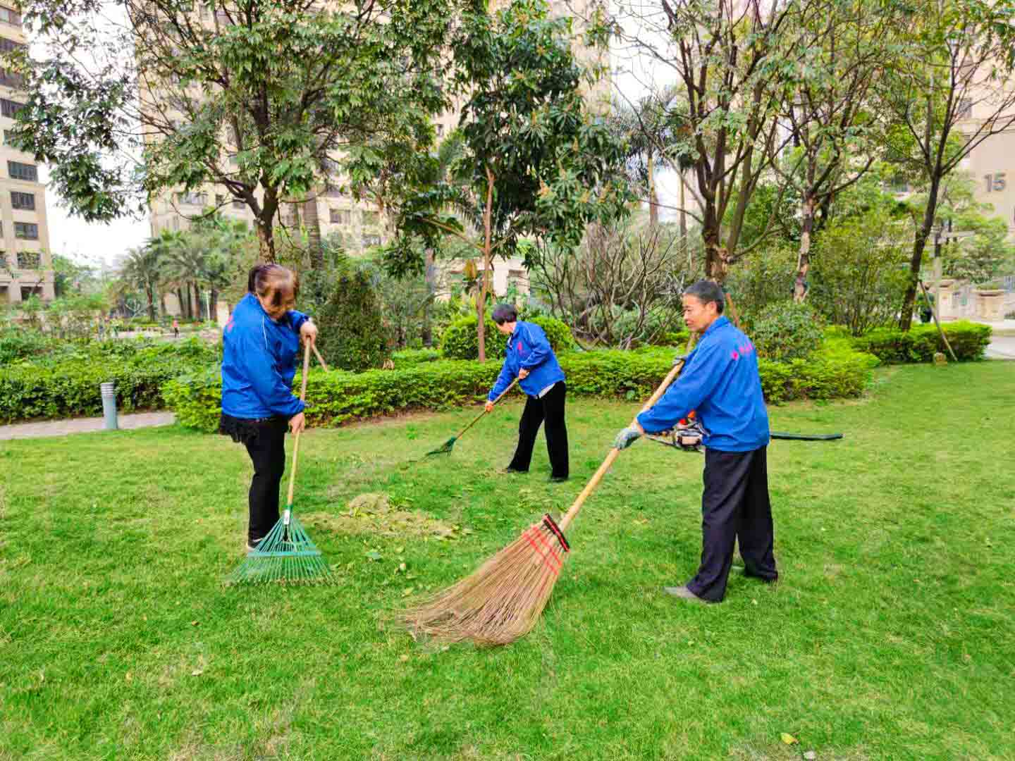 佛山園林綠化養(yǎng)護(hù)、佛山園林綠化養(yǎng)護(hù)公司、園林綠化養(yǎng)護(hù)