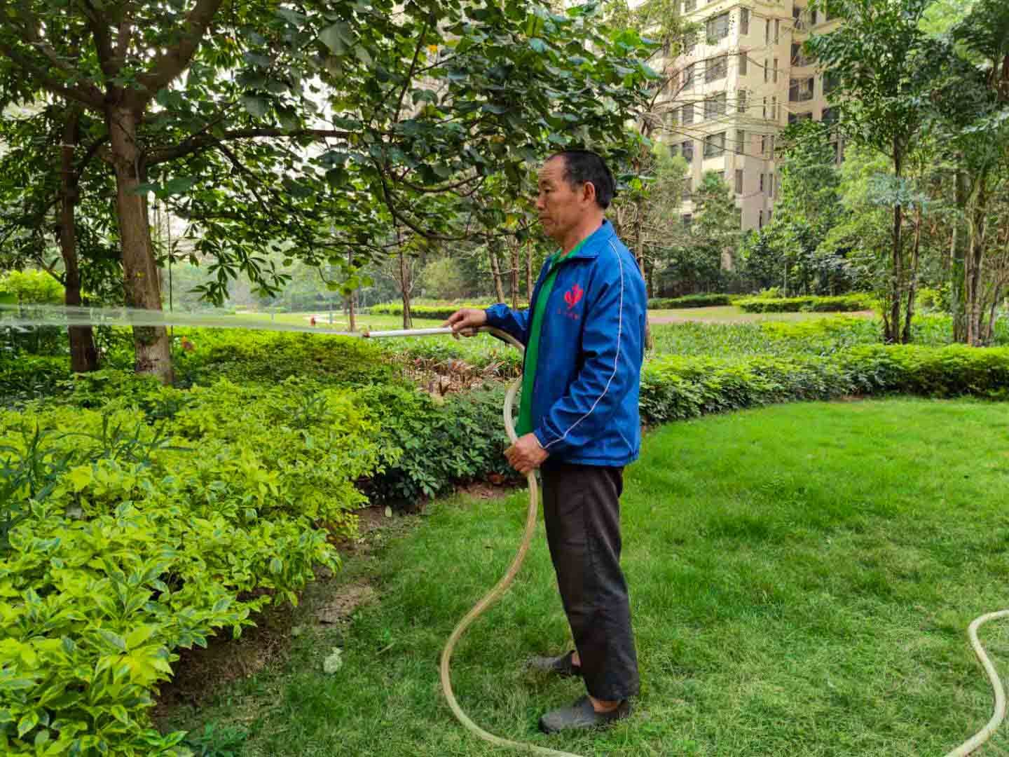 廣州園林綠化養(yǎng)護(hù)，廣州園林綠化養(yǎng)護(hù)公司，園林綠化養(yǎng)護(hù)