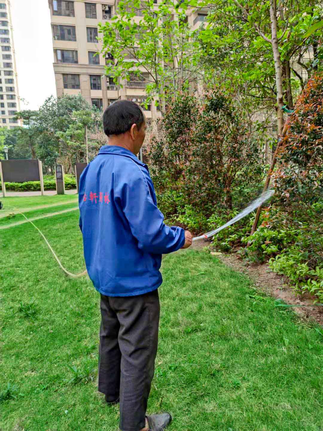 佛山園林綠化養(yǎng)護(hù)、佛山園林綠化養(yǎng)護(hù)公司、園林綠化養(yǎng)護(hù)
