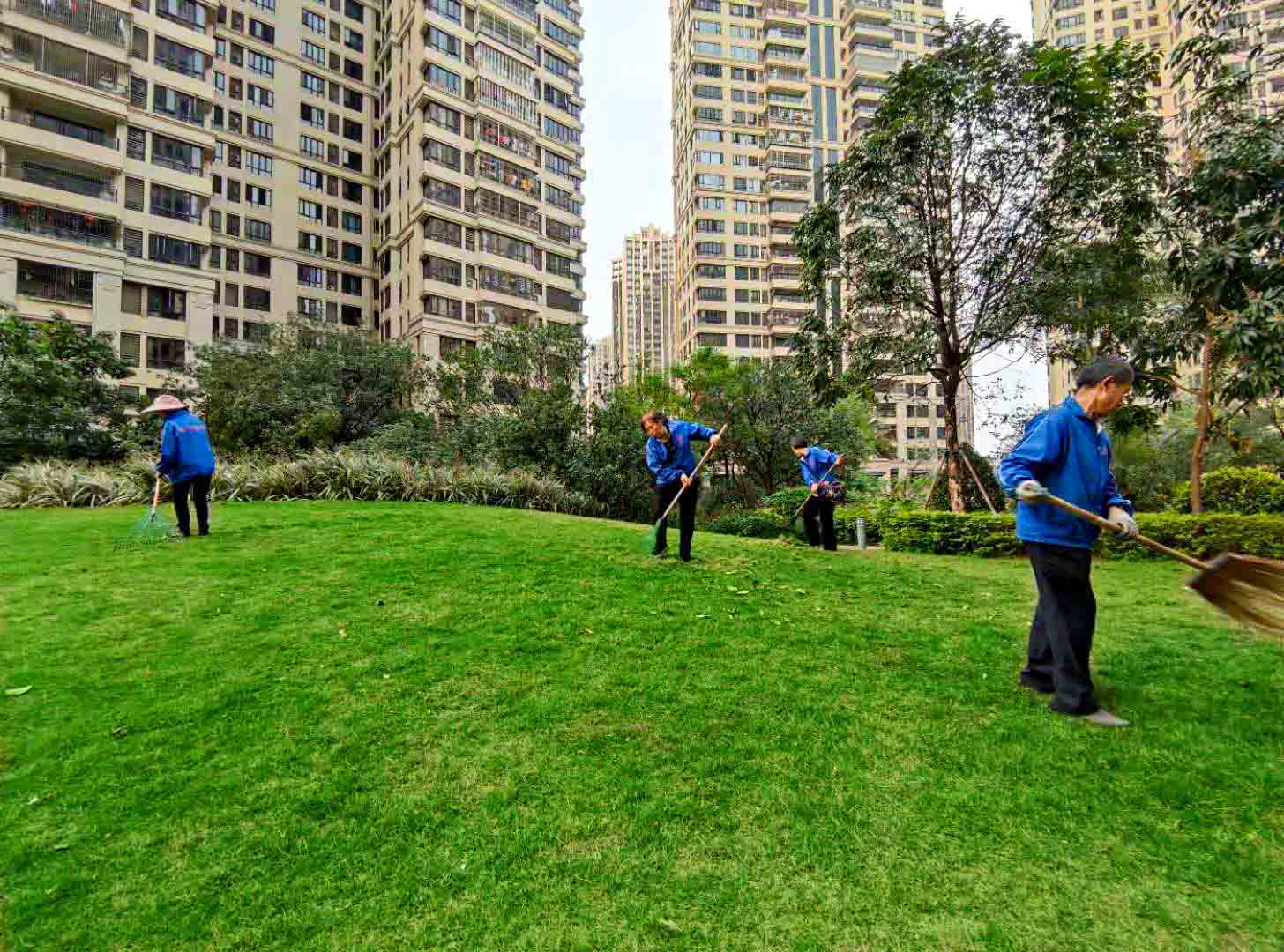 廣州園林綠化養(yǎng)護(hù)，廣州園林綠化養(yǎng)護(hù)公司，園林綠化養(yǎng)護(hù)