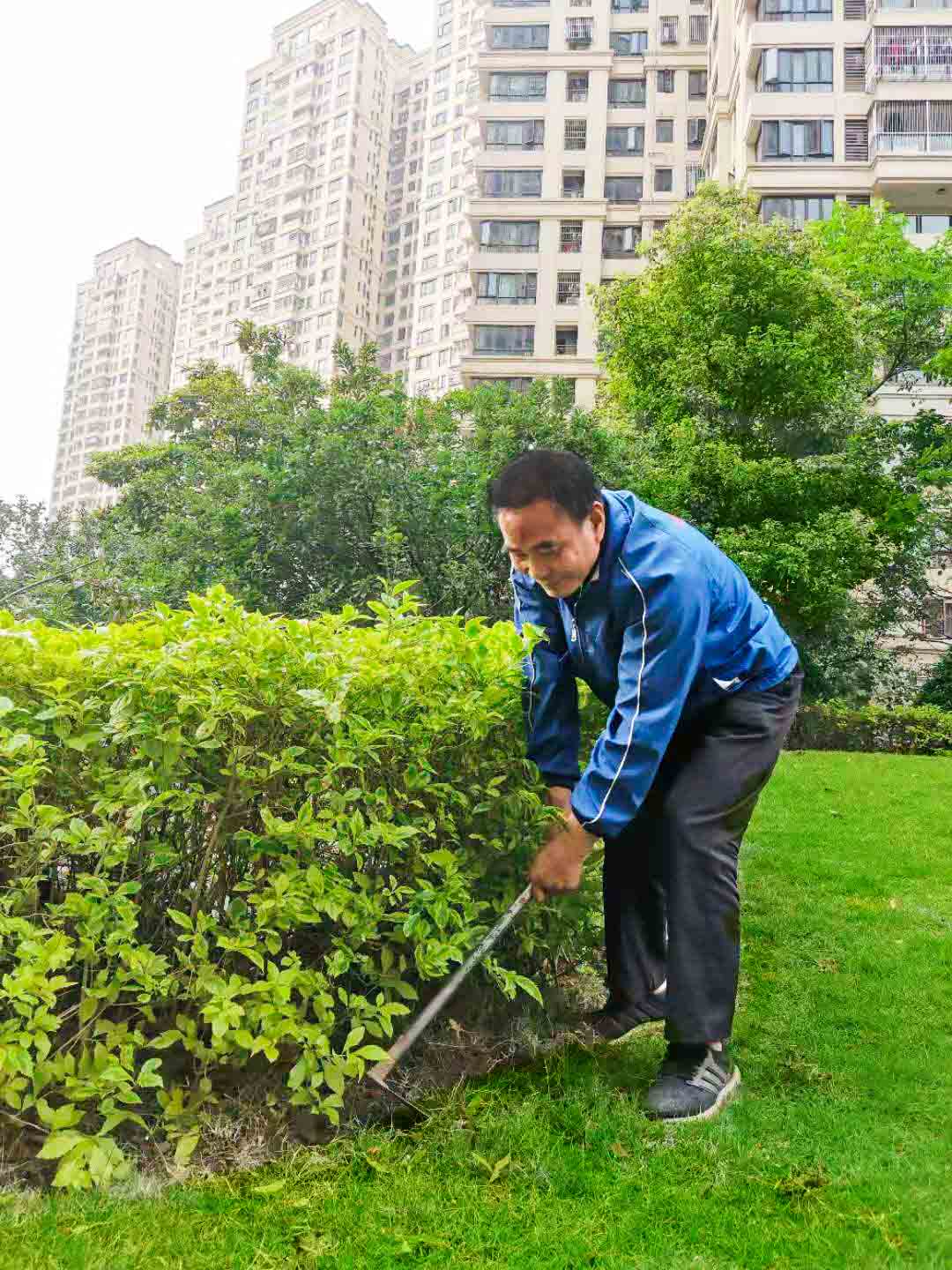 佛山園林綠化養(yǎng)護(hù)公司