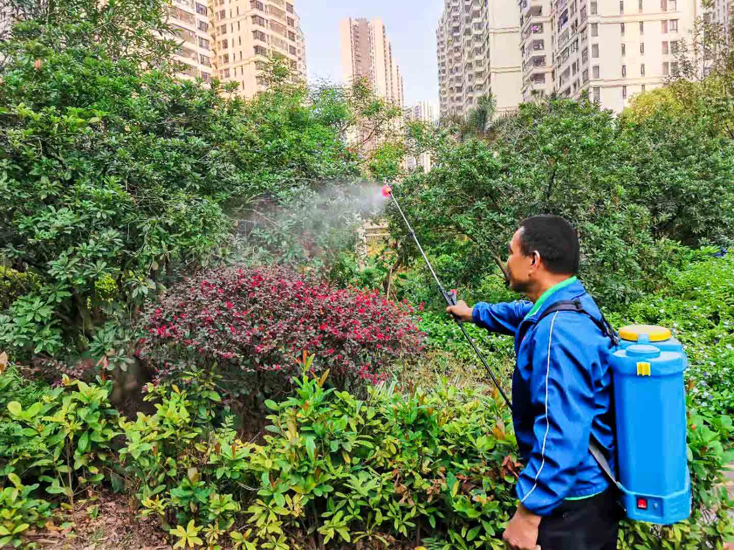 綠化養(yǎng)護 綠化養(yǎng)護