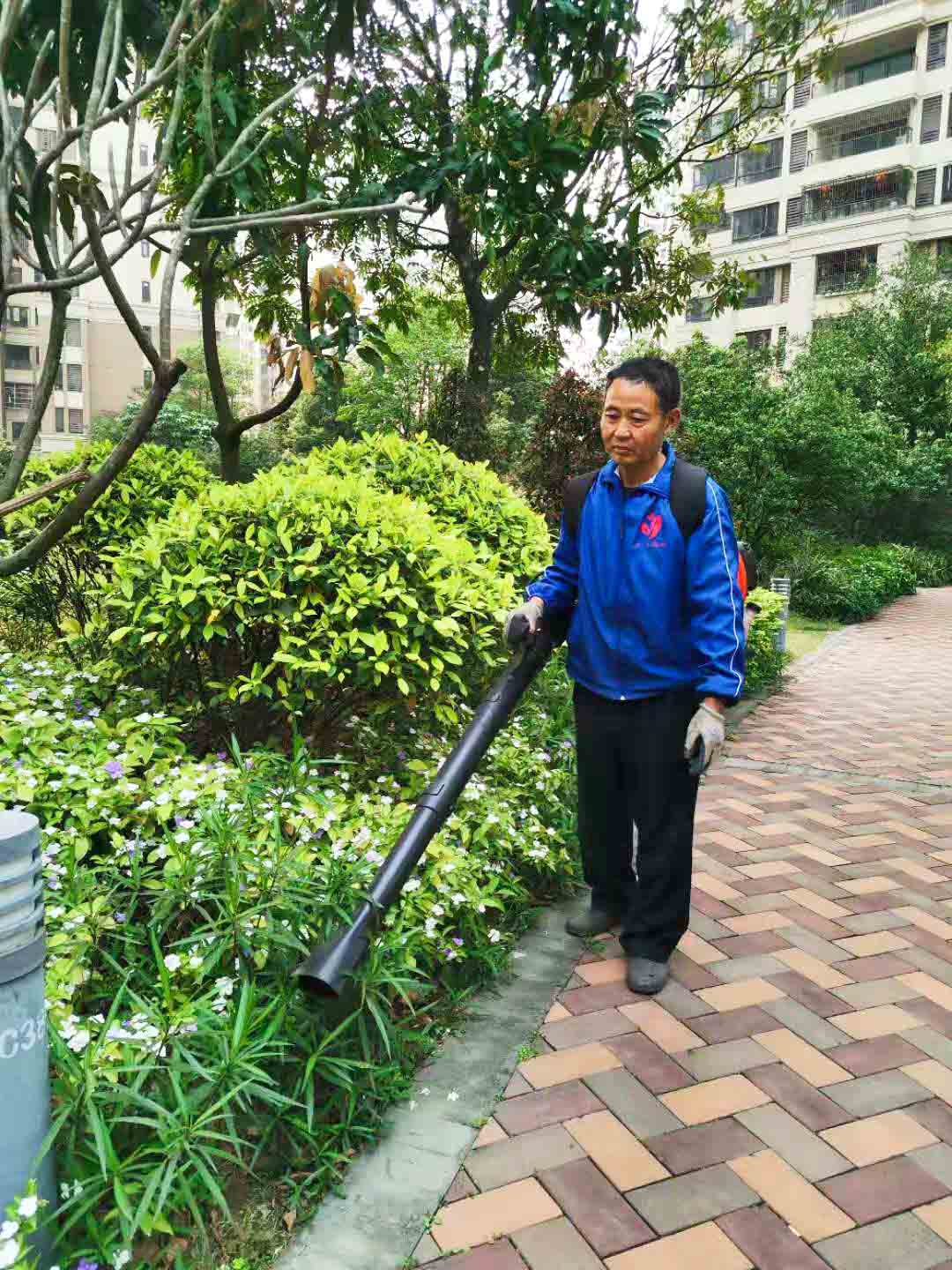 佛山園林綠化公司,綠化養(yǎng)護(hù)