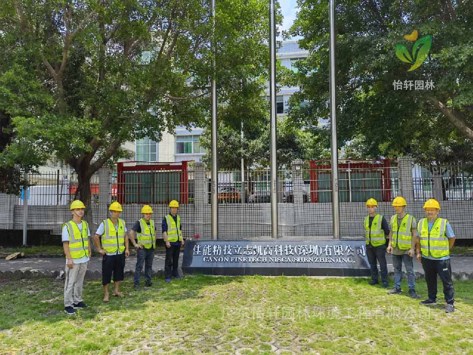 綠化工程，園林綠化公司