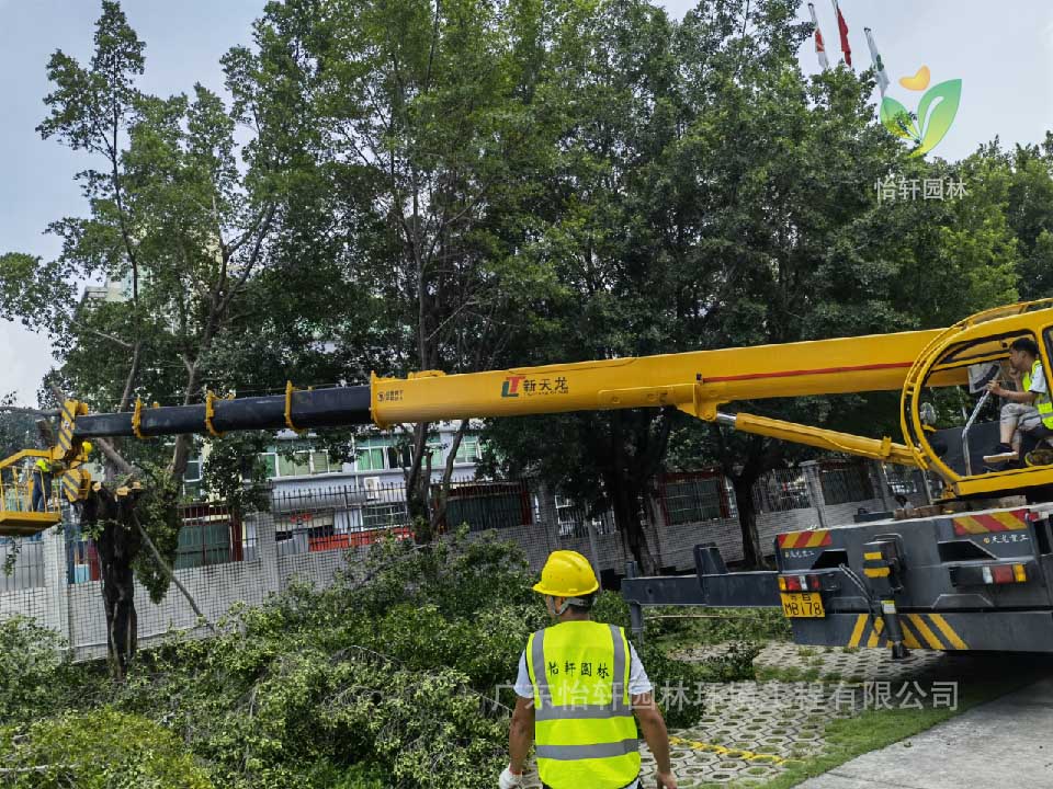 綠化工程，園林綠化公司