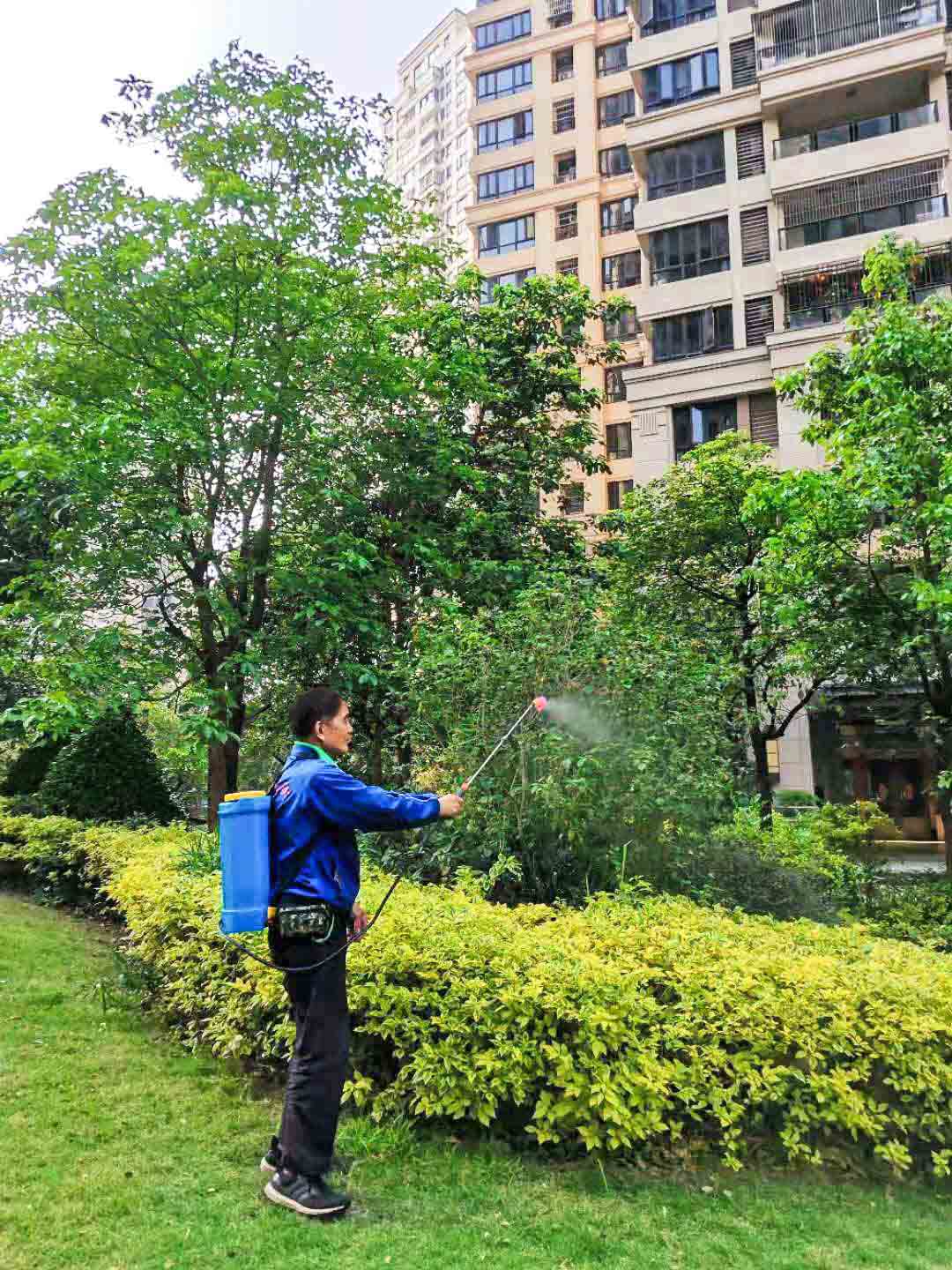 綠化養(yǎng)護 綠化養(yǎng)護