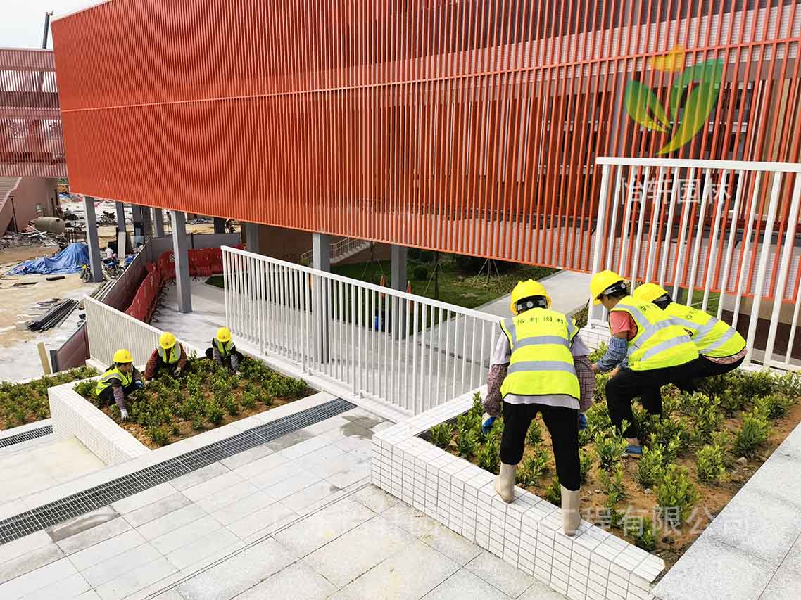 綠化工程 綠化工程