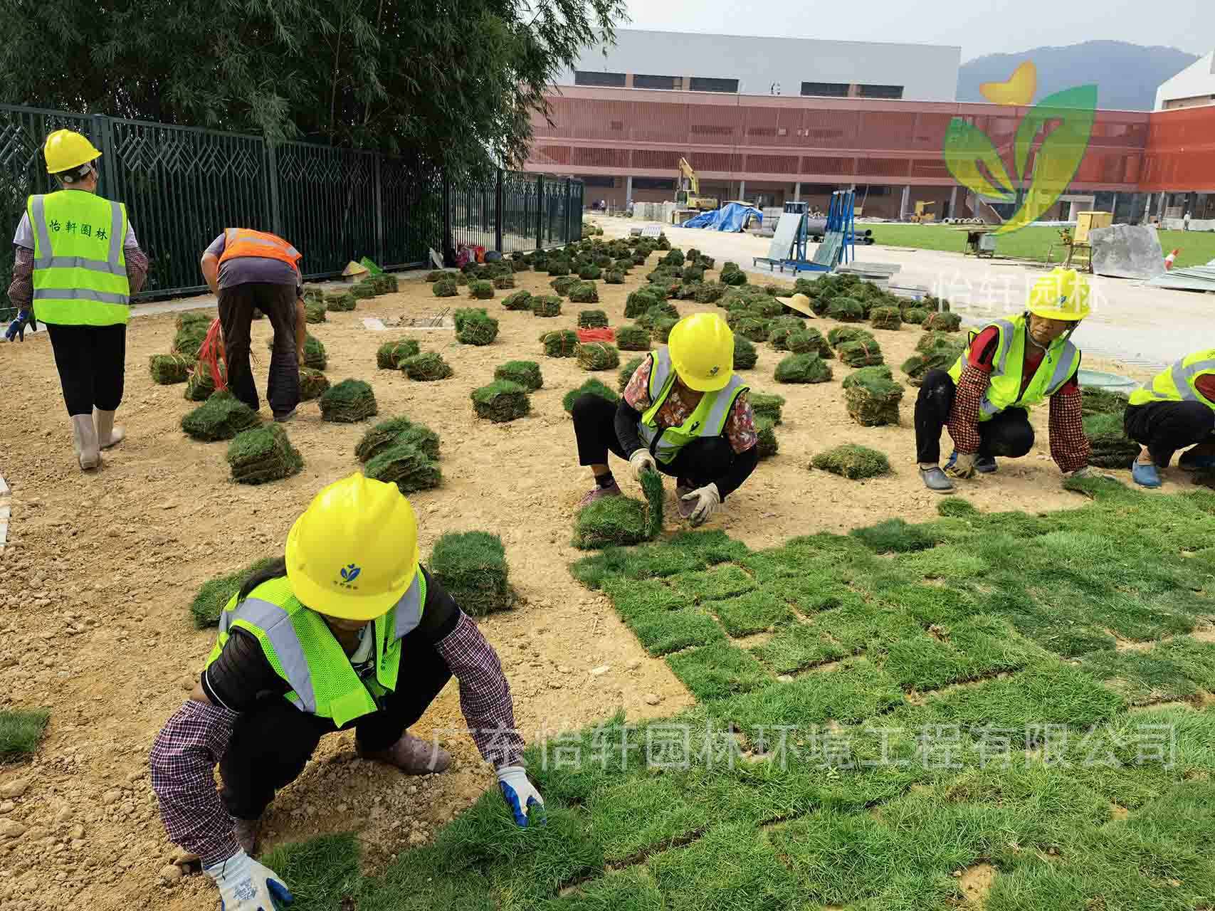 綠化工程 綠化工程