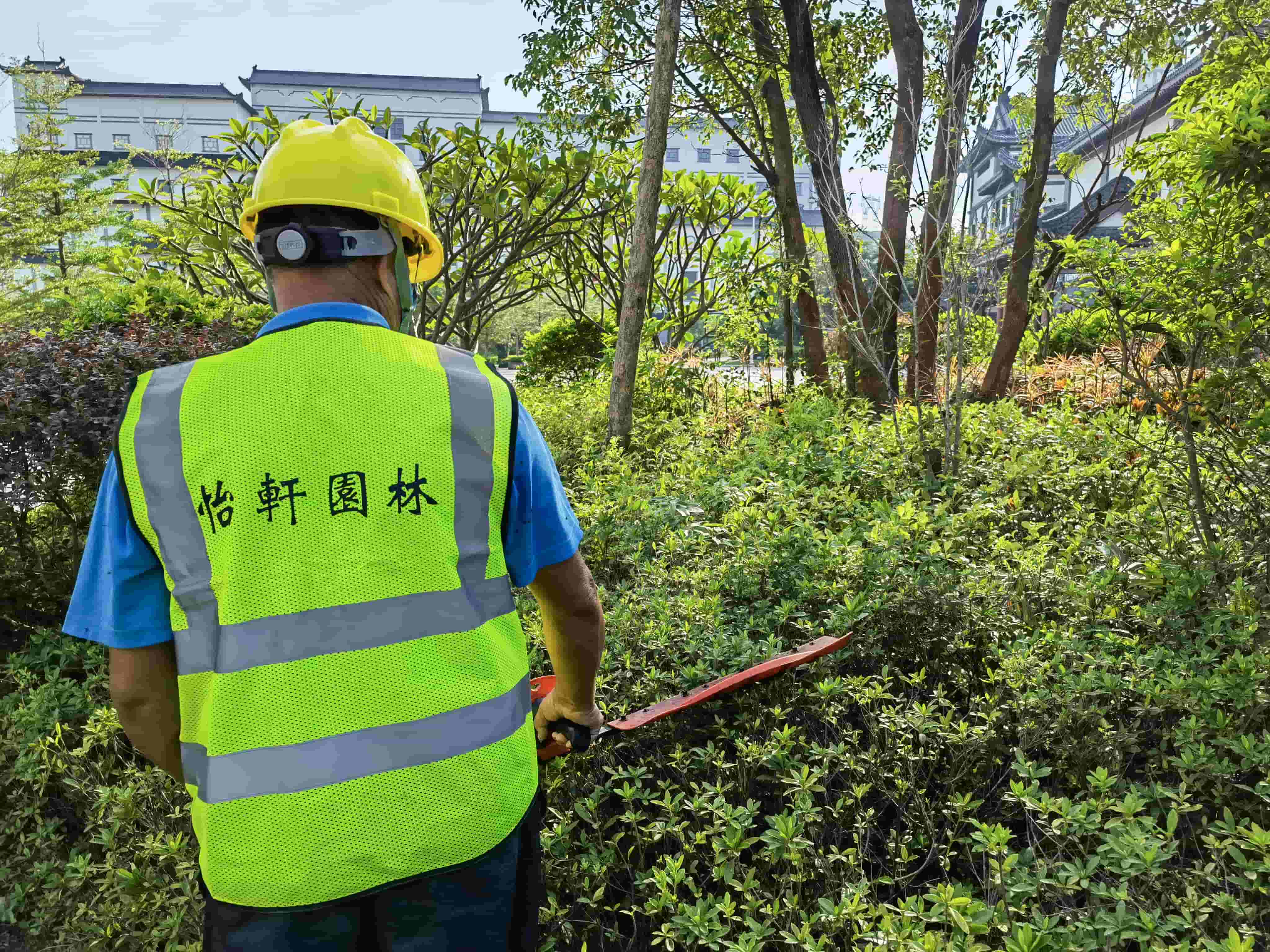 園林綠化養(yǎng)護 園林綠化養(yǎng)護