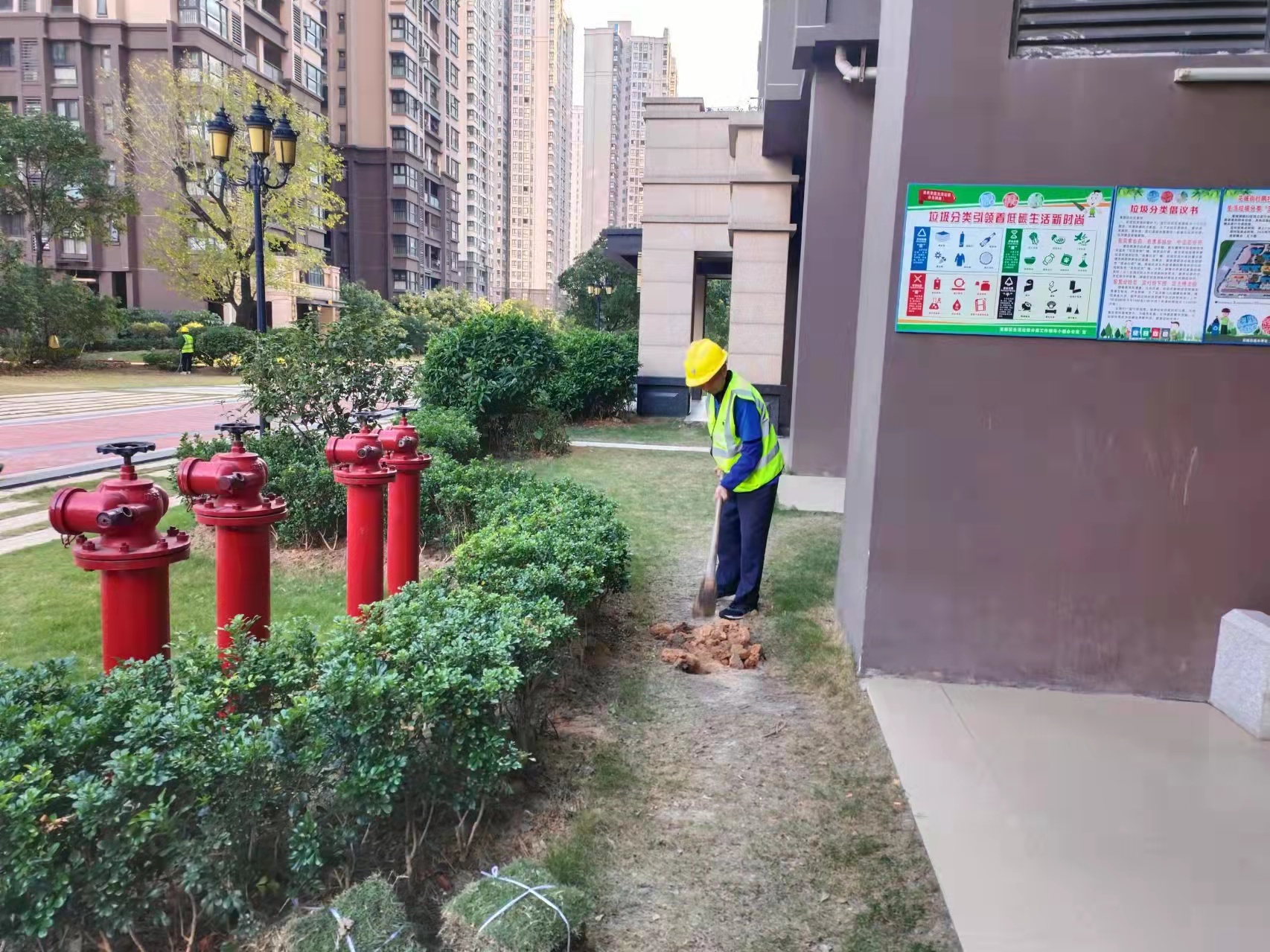鴨腳木，佛山綠化公司