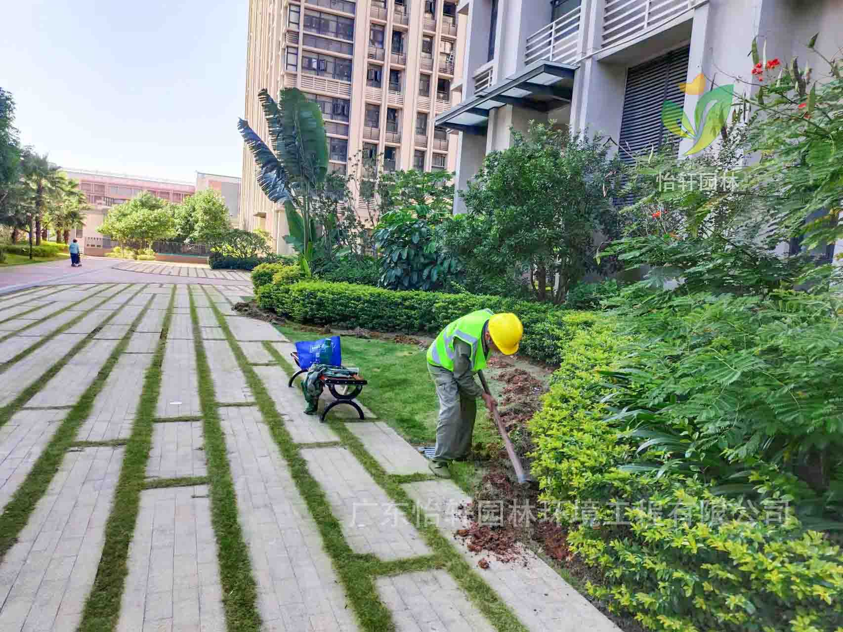 園林綠化公司,綠化養(yǎng)護(hù),綠化公司 園林綠化公司,綠化養(yǎng)護(hù),綠化公司