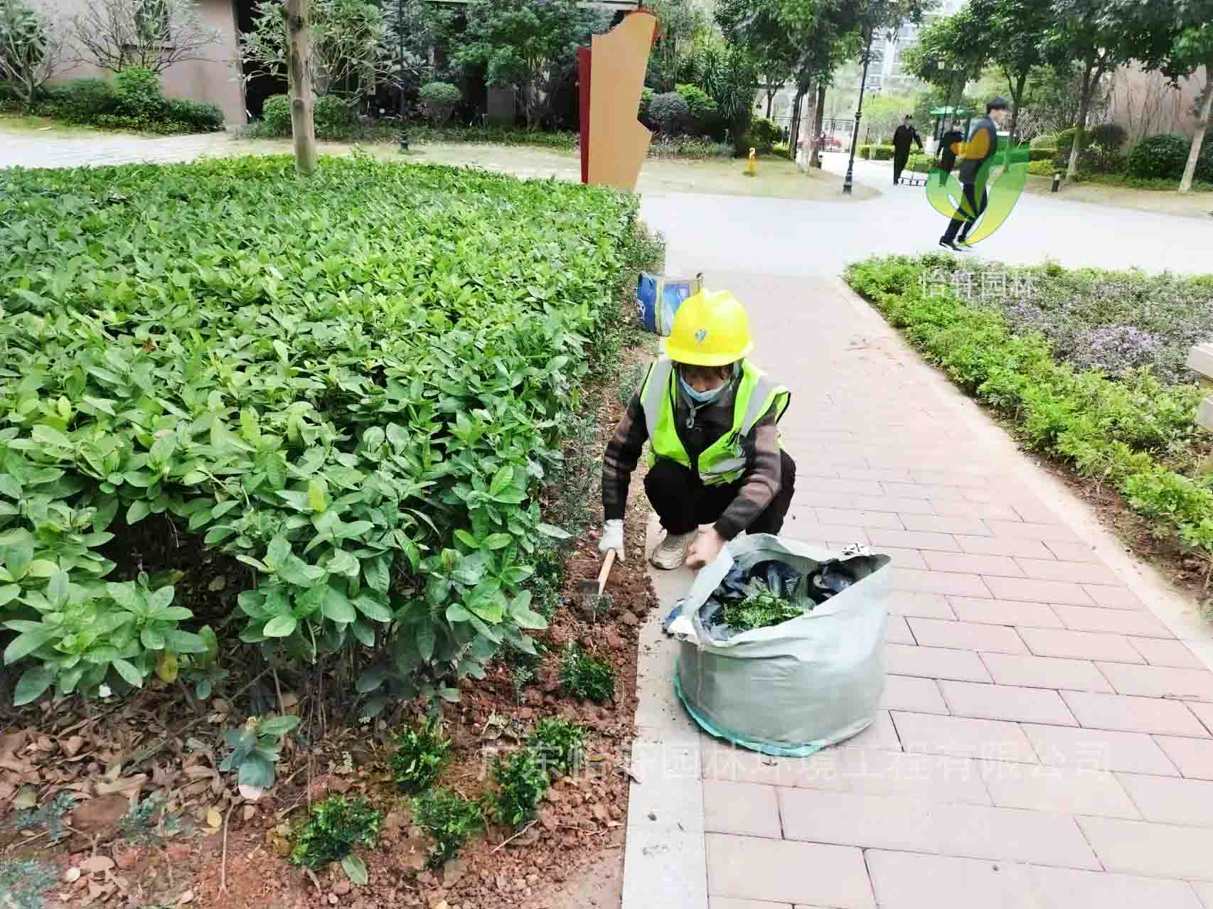 園林綠化公司,綠化養(yǎng)護(hù),綠化公司 園林綠化公司,綠化養(yǎng)護(hù),綠化公司