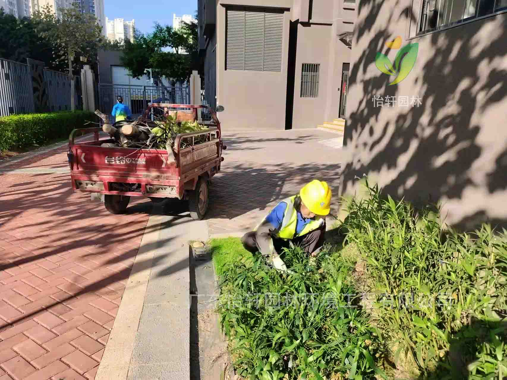 園林綠化公司,綠化養(yǎng)護(hù),綠化公司 園林綠化公司,綠化養(yǎng)護(hù),綠化公司