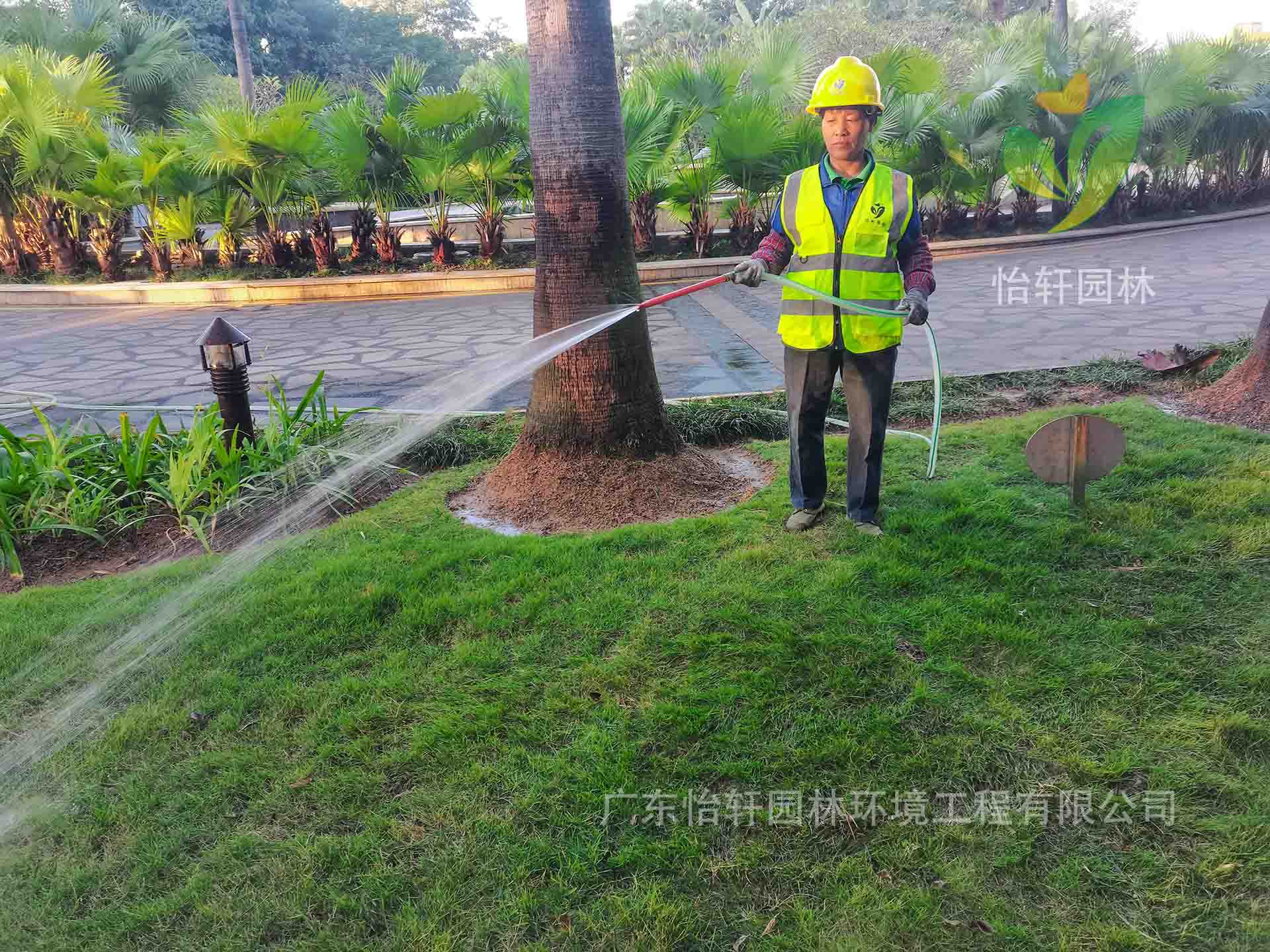 綠化養(yǎng)護(hù) 綠化養(yǎng)護(hù)