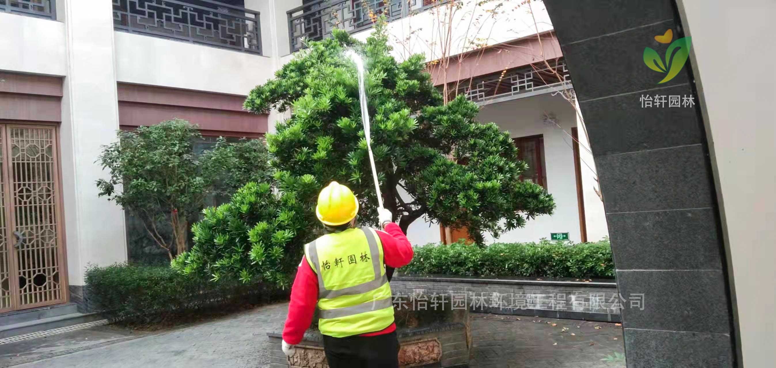 綠化養(yǎng)護(hù) 綠化養(yǎng)護(hù)