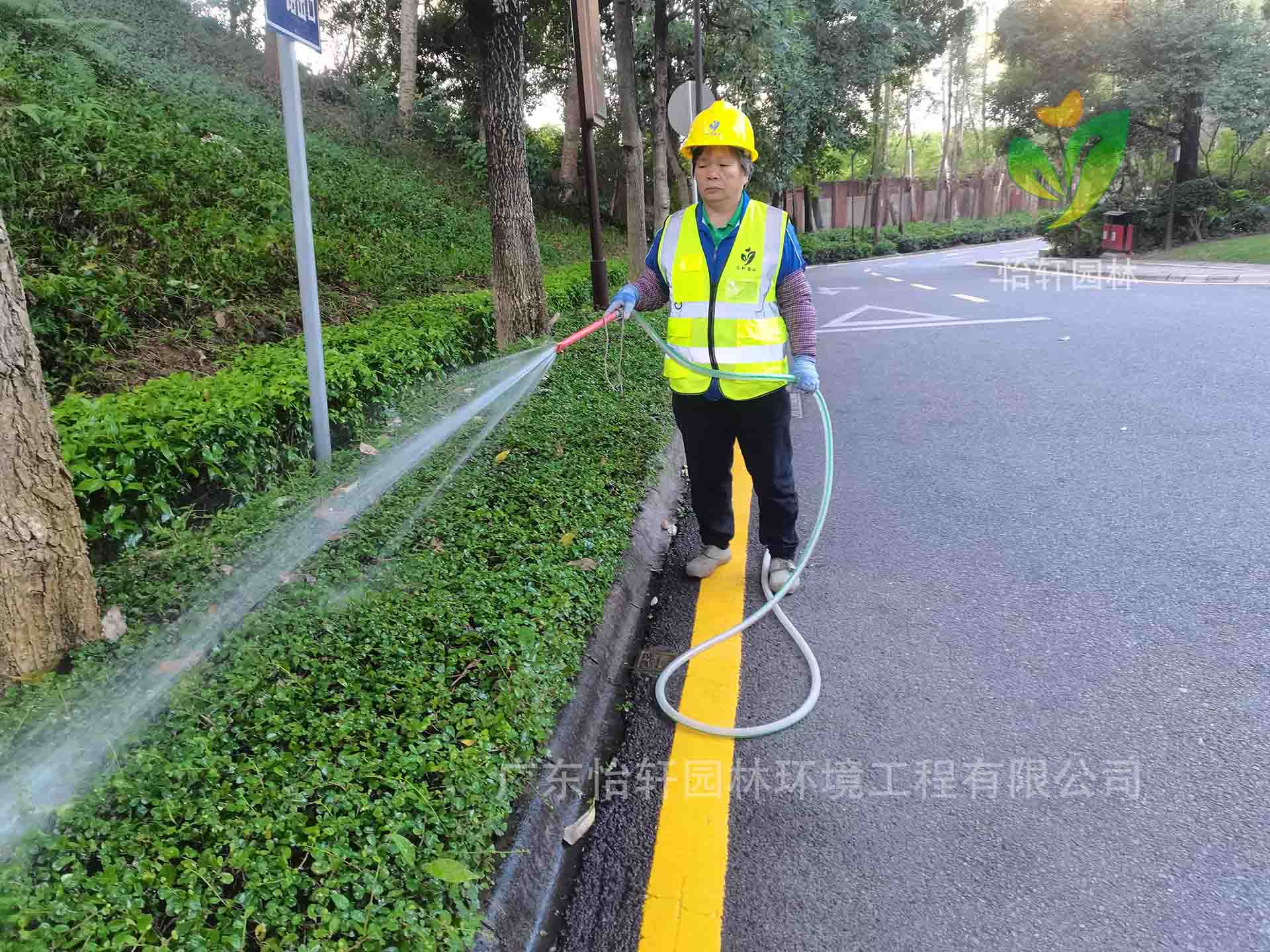 綠化養(yǎng)護(hù) 綠化養(yǎng)護(hù)