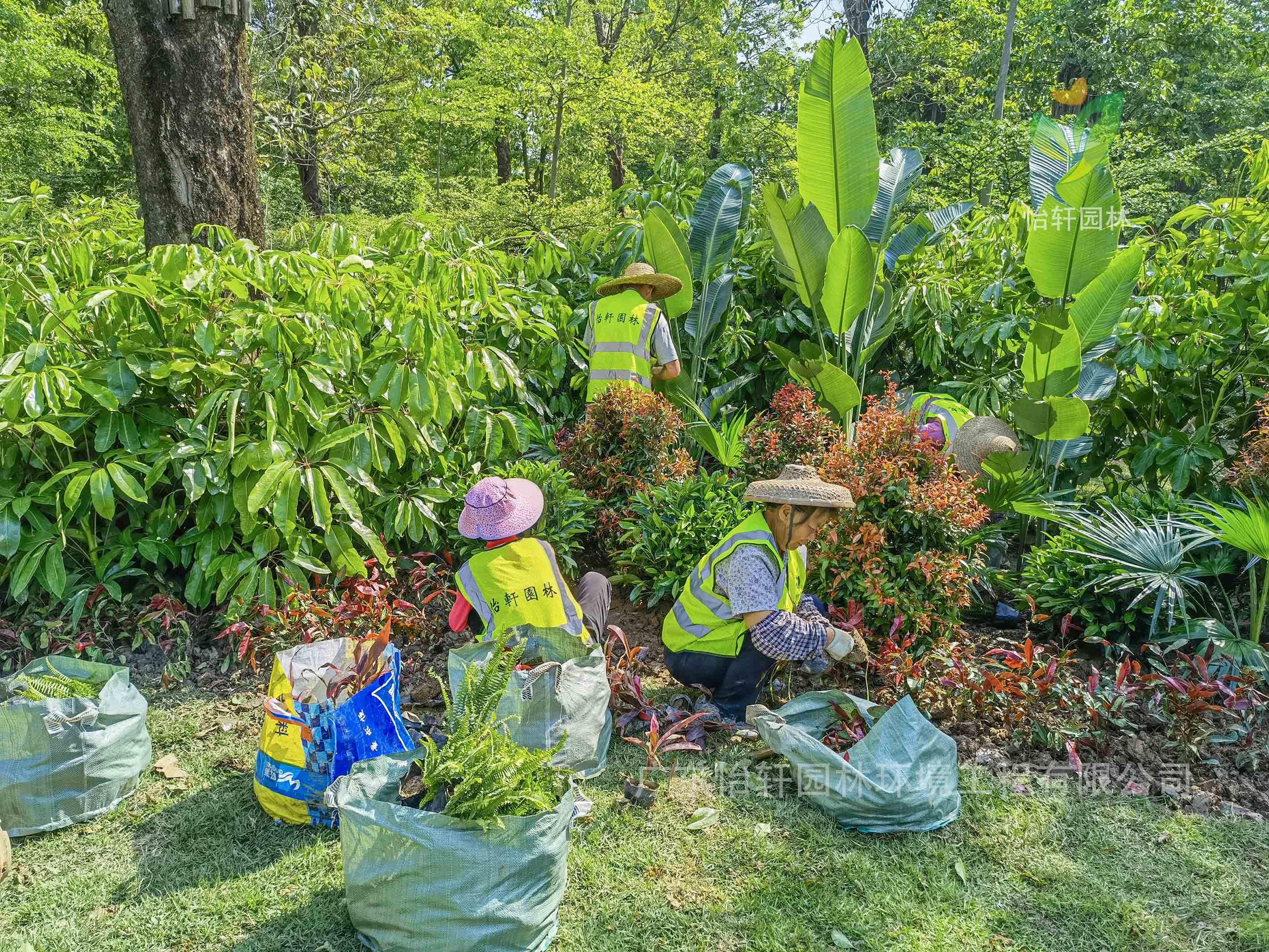 園林綠化公司,綠化工程,綠化設(shè)計(jì)