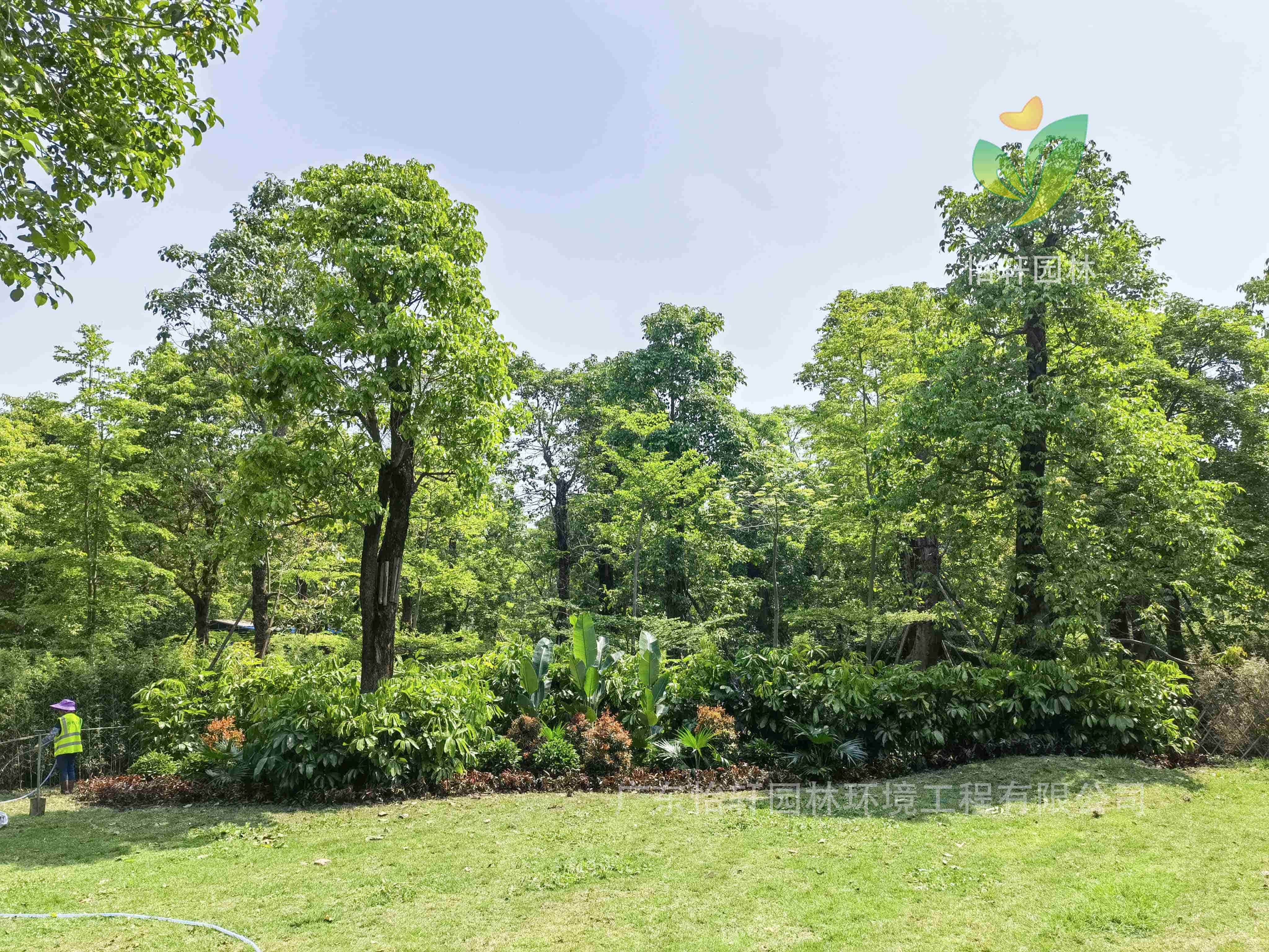 園林綠化公司,綠化工程,綠化設(shè)計(jì)