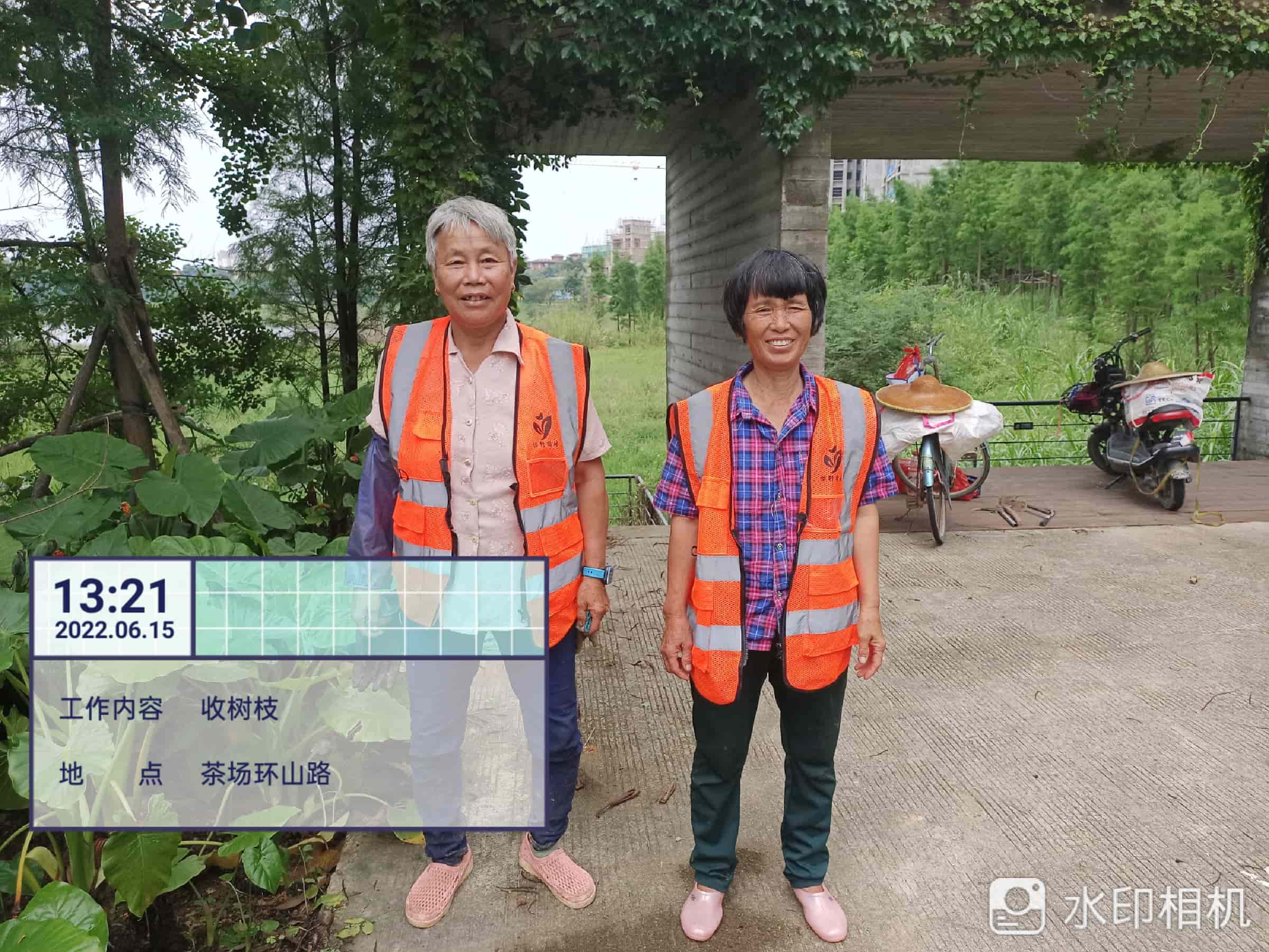 園林綠化,園林綠化公司