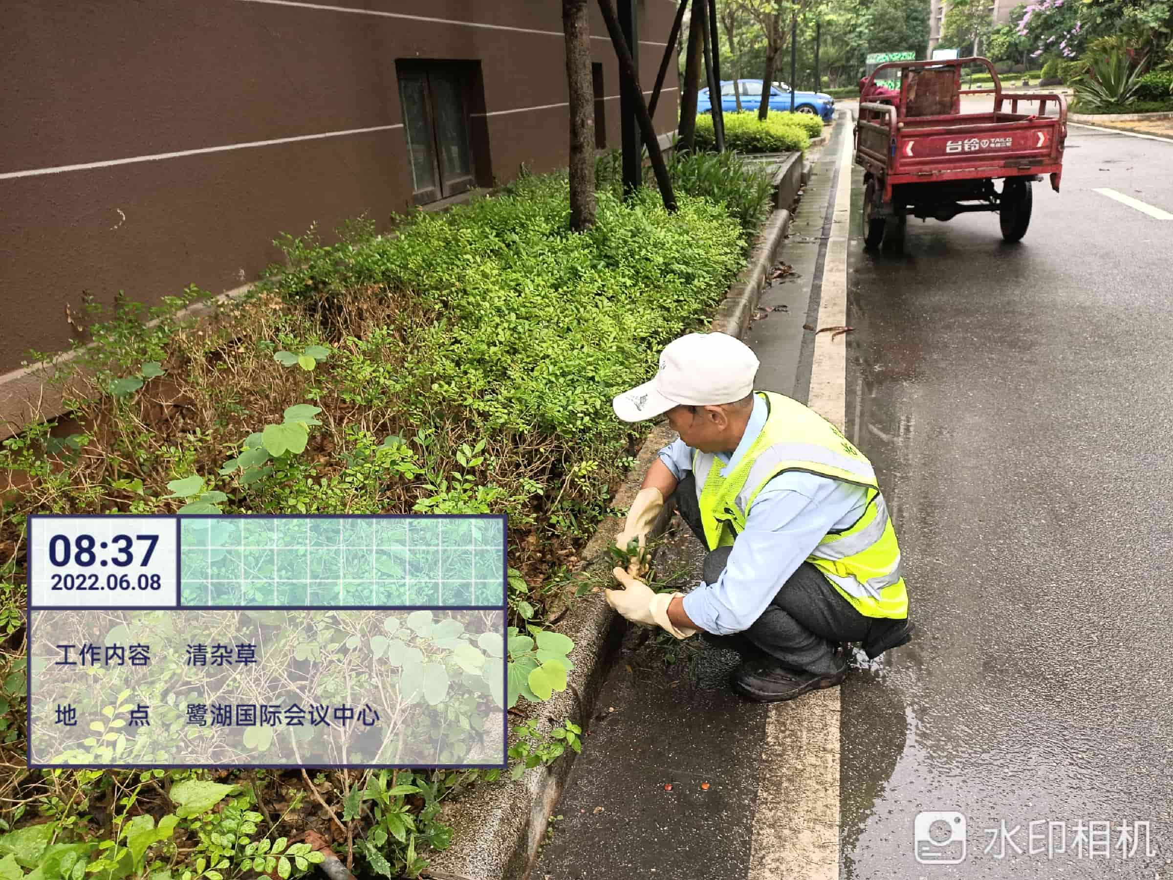 園林綠化公司,植物