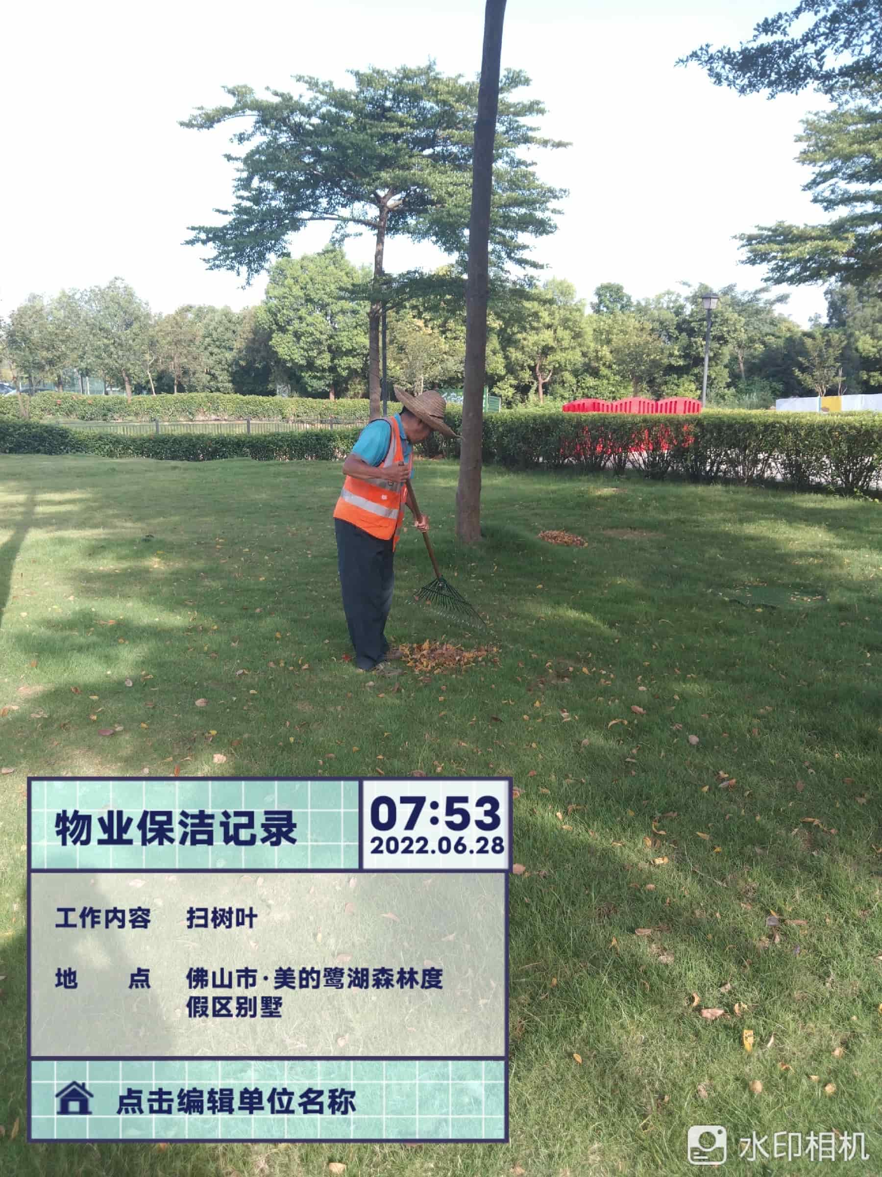 佛山園林綠化公司,苗木 佛山園林綠化公司,苗木