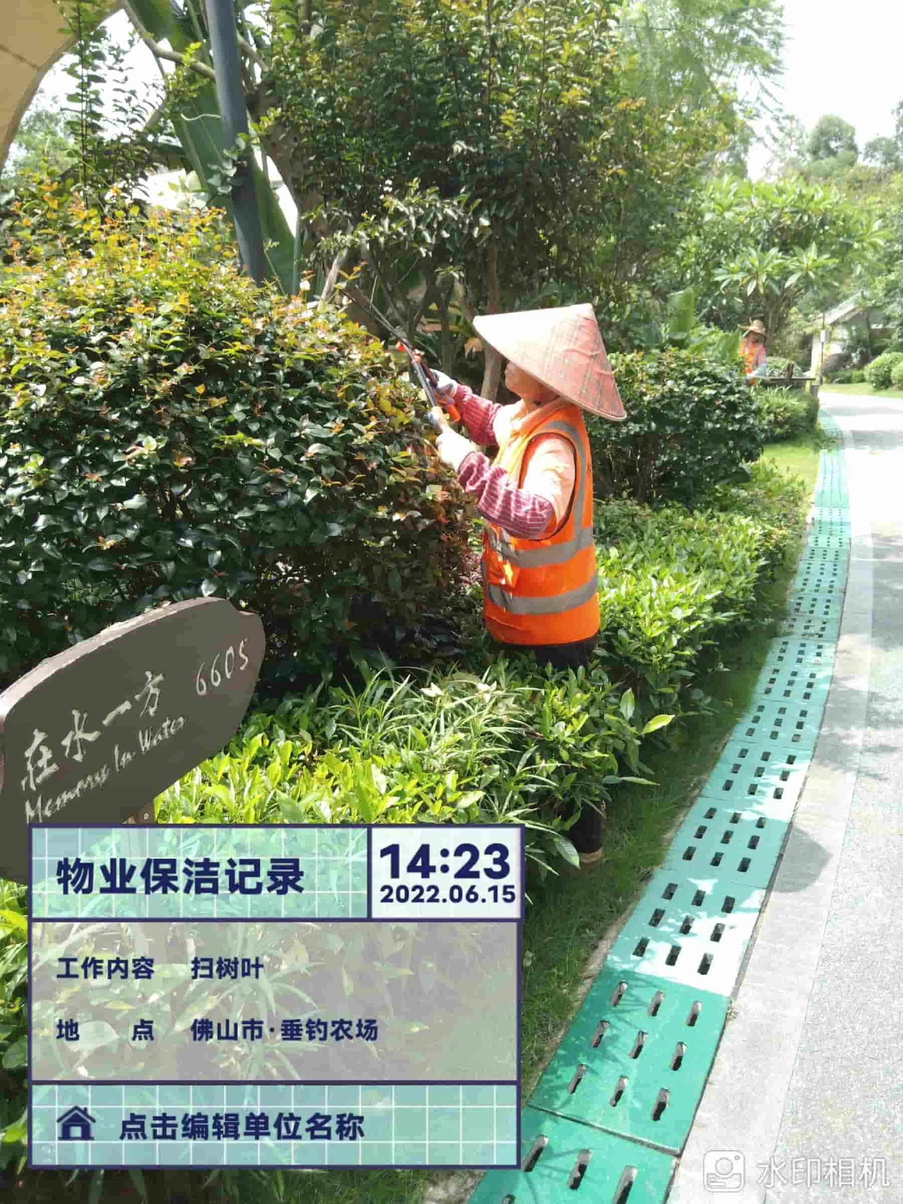 綠化養護,美的露湖
