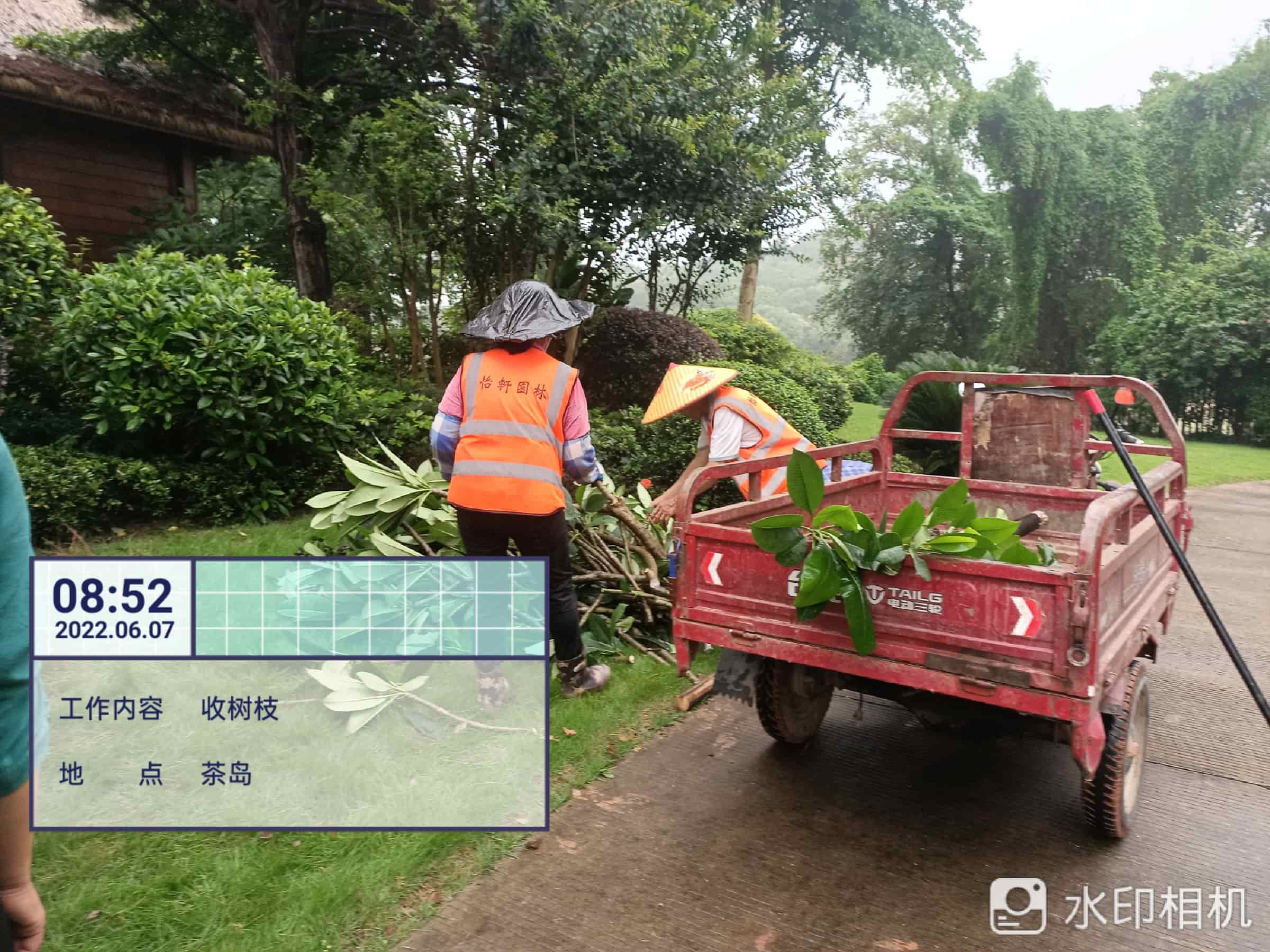 綠化養(yǎng)護,石榴