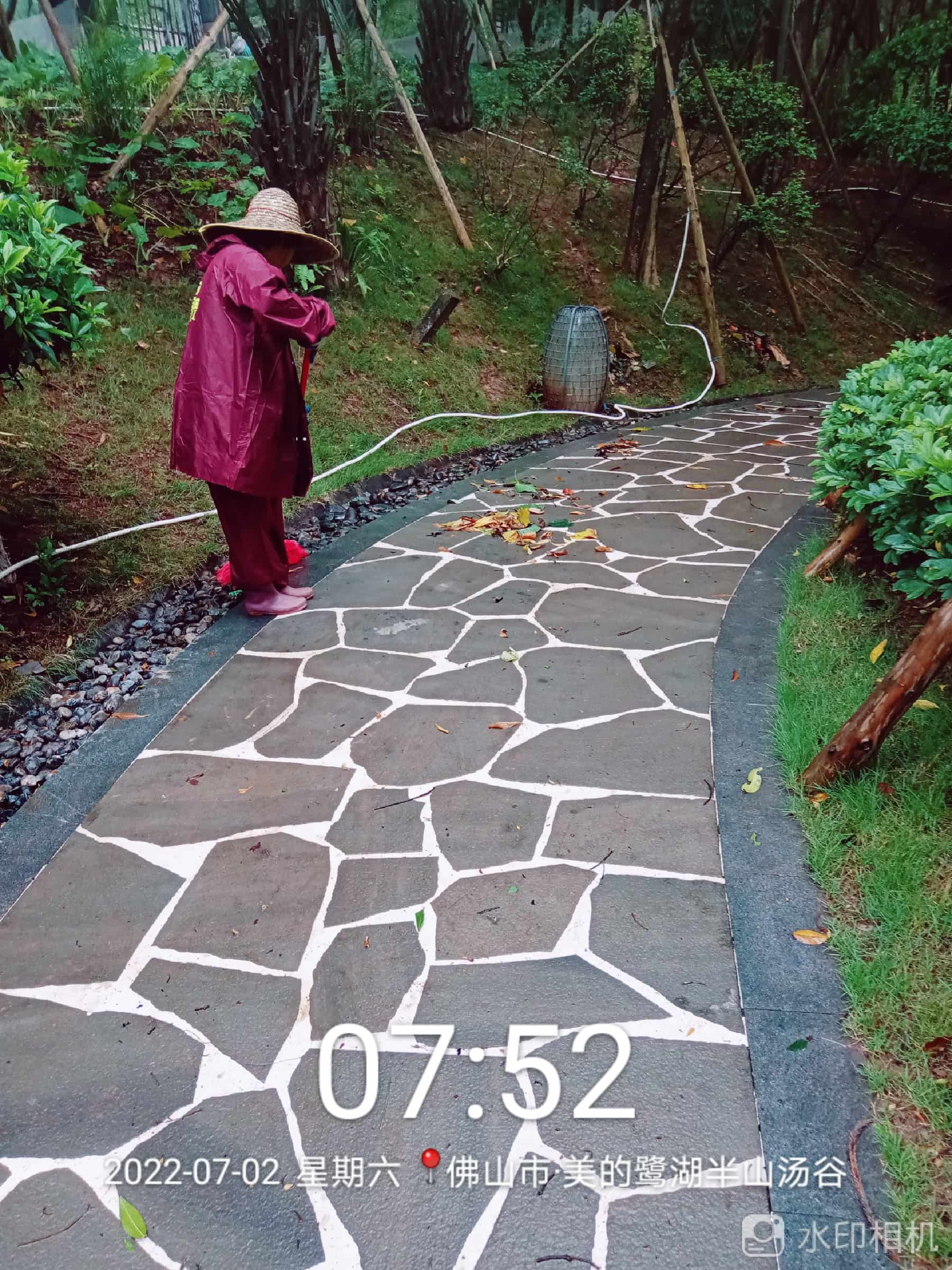 園林綠化公司,綠化養護,枸杞 園林綠化公司,綠化養護,枸杞