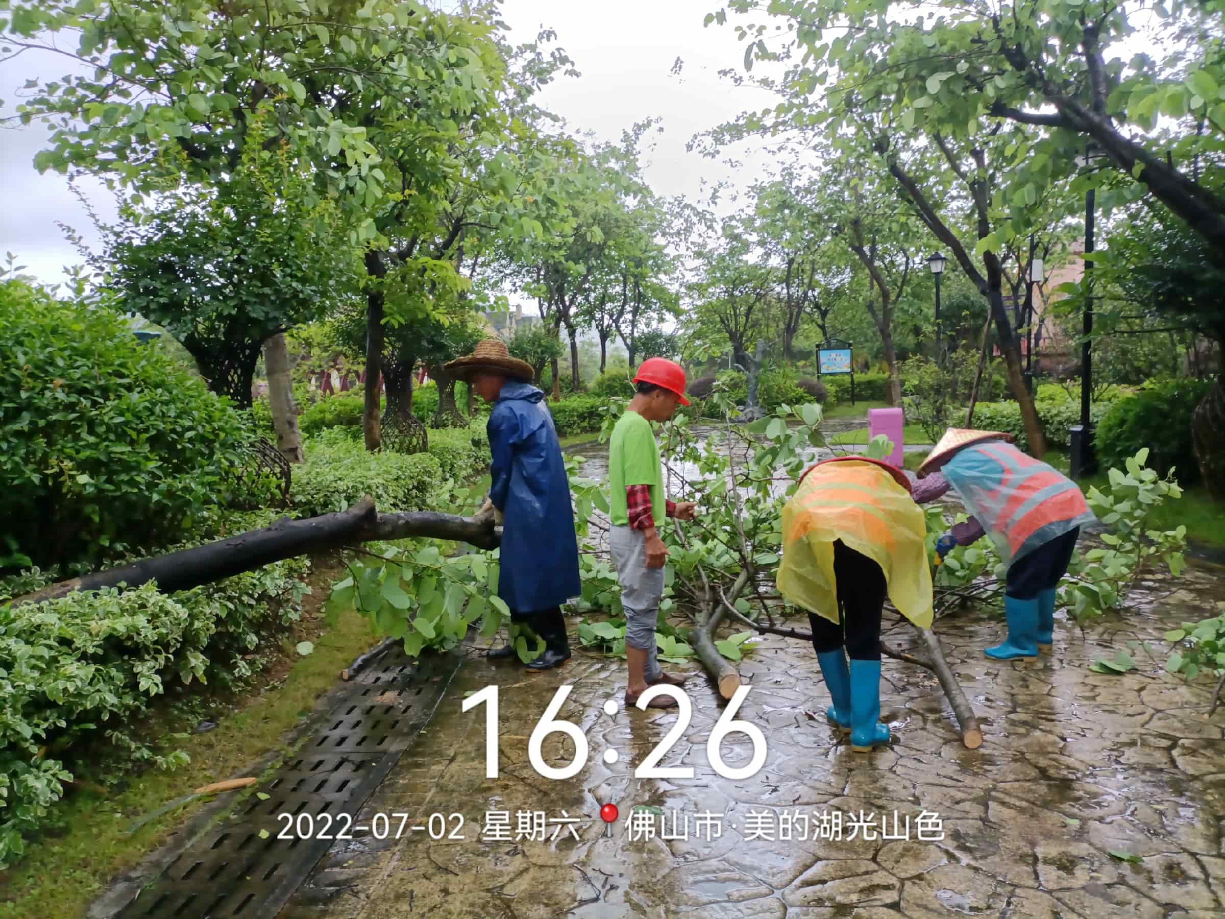 綠化養(yǎng)護 綠化養(yǎng)護