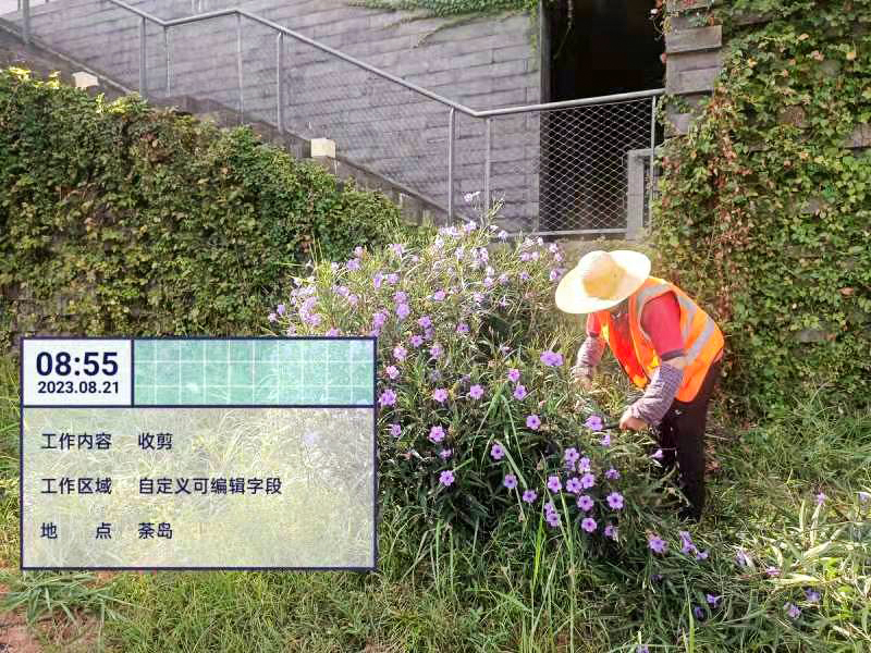綠化養護