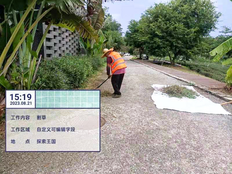 庭院設計