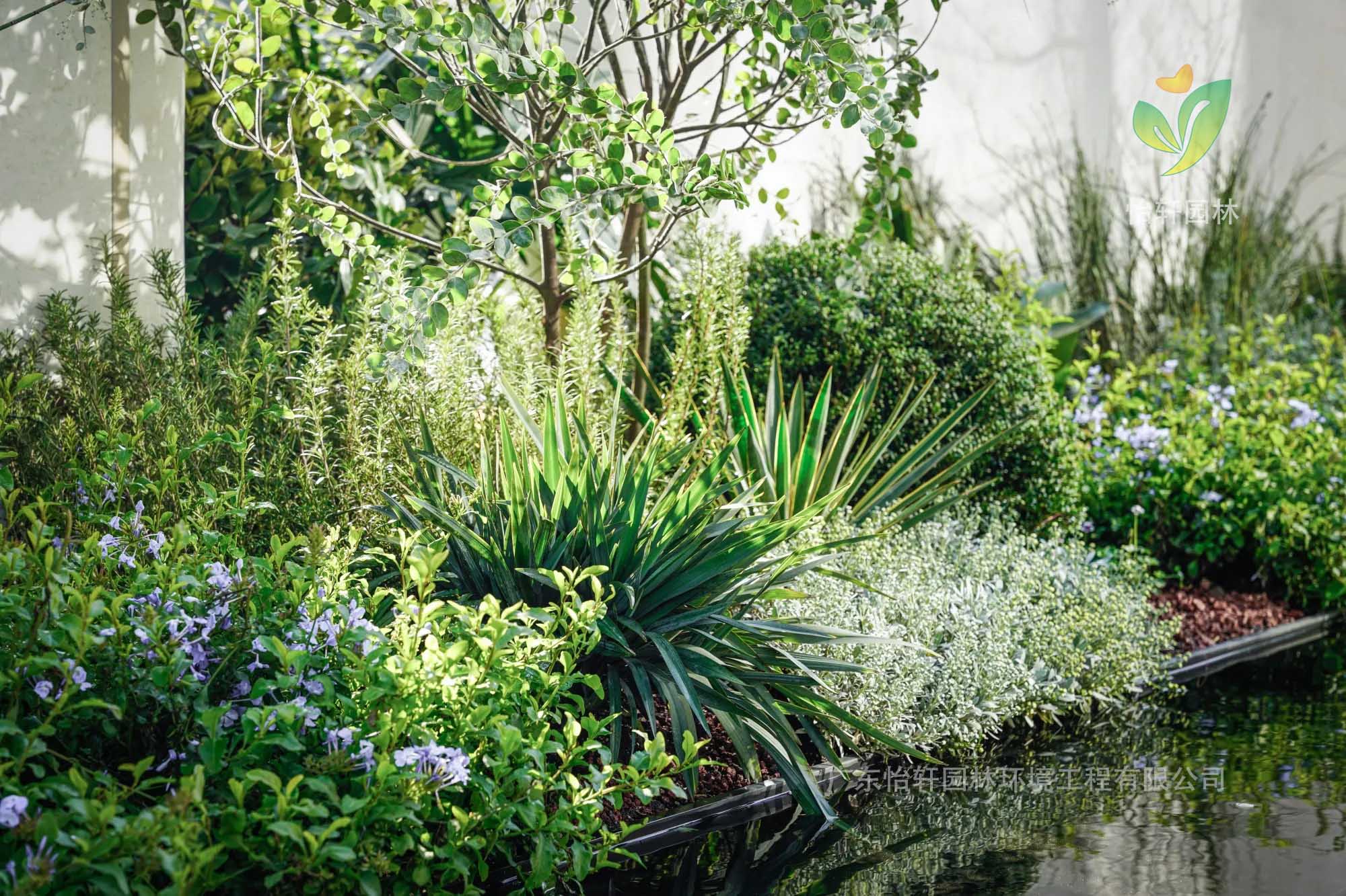 花境設(shè)計(jì) 花境設(shè)計(jì)