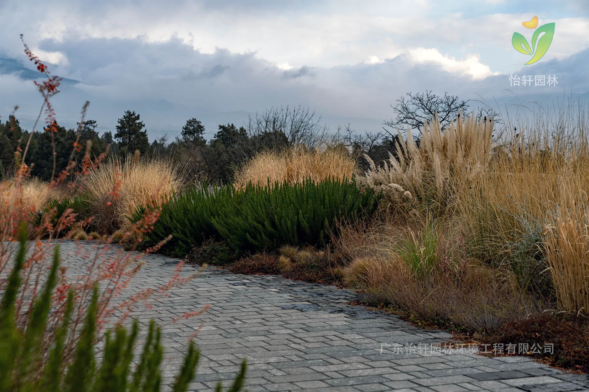 花境設(shè)計(jì)